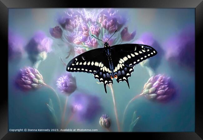 Black Swallowtail Framed Print by Donna Kennedy