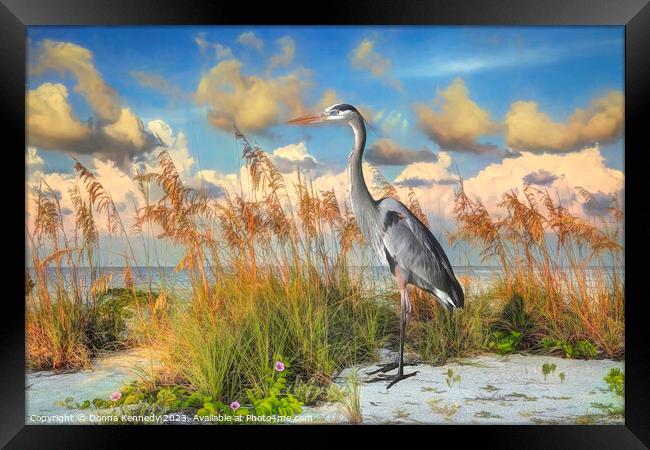 Heron on Gasparilla Island  Framed Print by Donna Kennedy