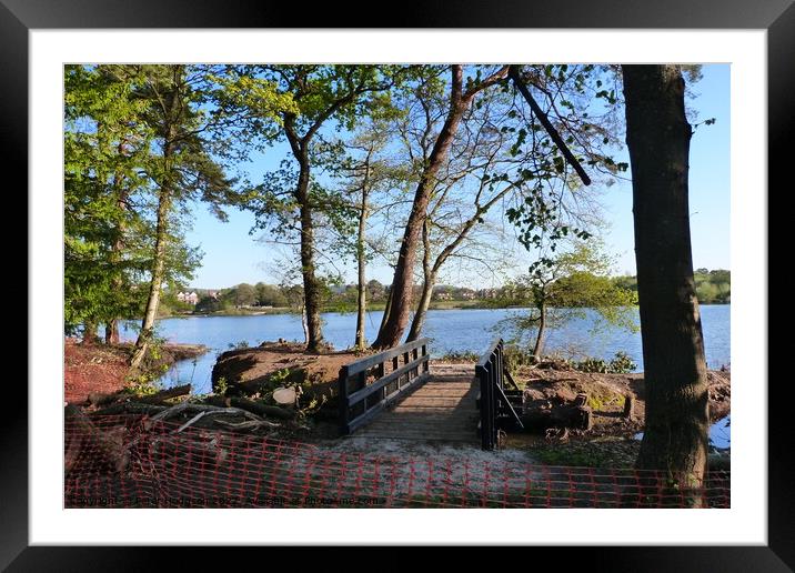 Serenity on Petersfield Heath Pond Framed Mounted Print by Peter Hodgson