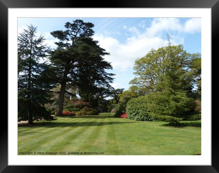 A beautiful sunny day walking around Exbury Garden Framed Mounted Print by Peter Hodgson