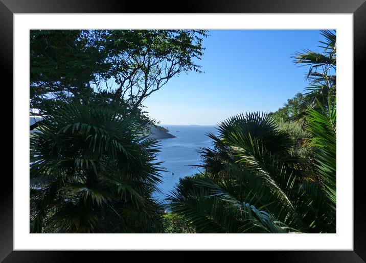 View from Lamorran House,Tropical Gardens, St Mawe Framed Mounted Print by Peter Hodgson