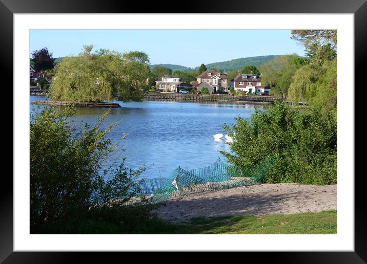 Petersfield pond in May Framed Mounted Print by Peter Hodgson