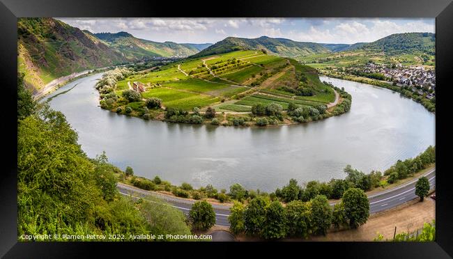 Panoramic view of the Moselle River bend near the Germany historic village Bremm. Framed Print by Plamen Petrov