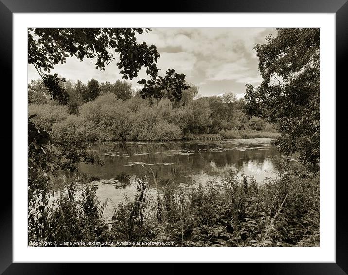 Garden Lake at Newstead Abbey Framed Mounted Print by Elaine Anne Baxter
