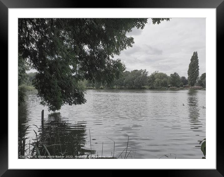 Lakeside View Nottinghamshire Framed Mounted Print by Elaine Anne Baxter