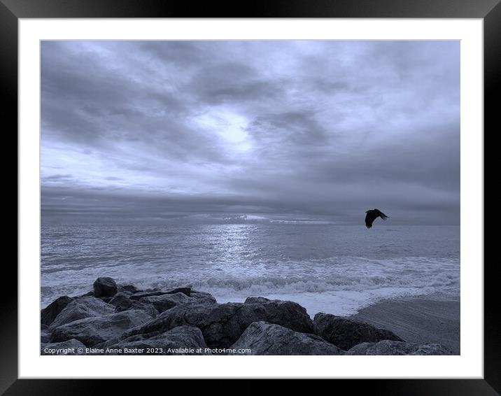 Bird In flight over English Channel Shoreline Framed Mounted Print by Elaine Anne Baxter