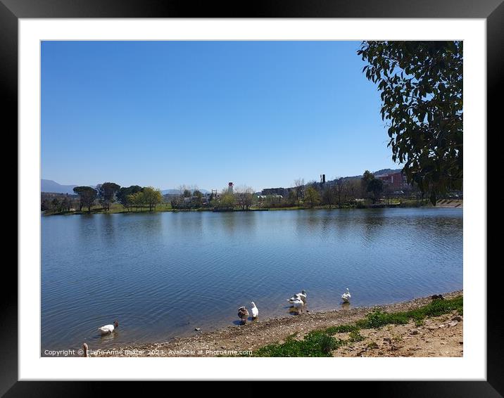 Lake Tirana Grand Park Framed Mounted Print by Elaine Anne Baxter