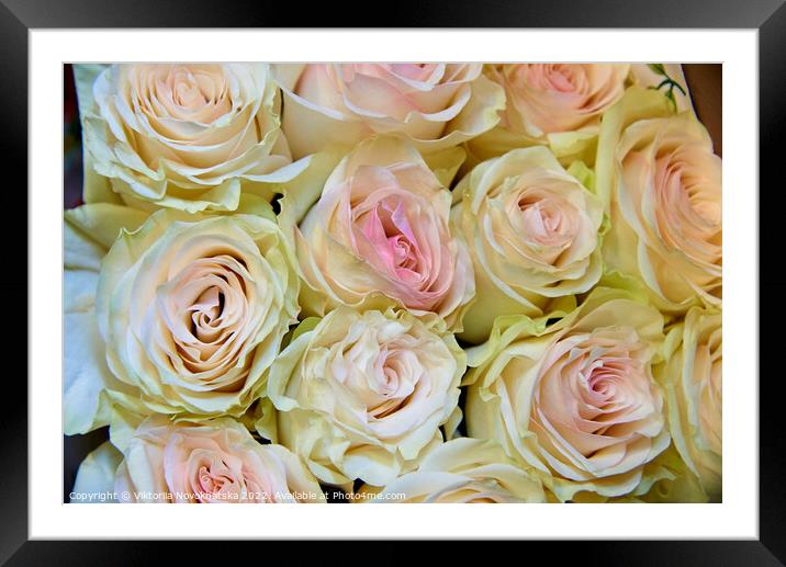 A white pastel roses Framed Mounted Print by Viktoriia Novokhatska