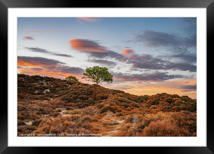 “Planet Roydon” - Majestic Sunset Over Roydon Comm Framed Mounted Print by Terry Newman
