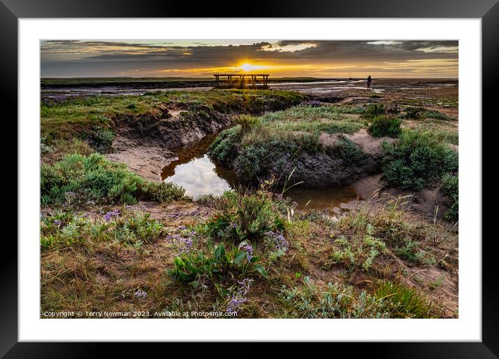 Stiffkey Saltmarshes Norfolk Framed Mounted Print by Terry Newman