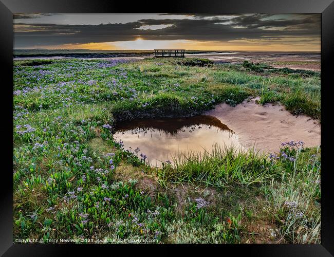 Relections and Sea Lavender at Stiffkey Saltmarshes Framed Print by Terry Newman