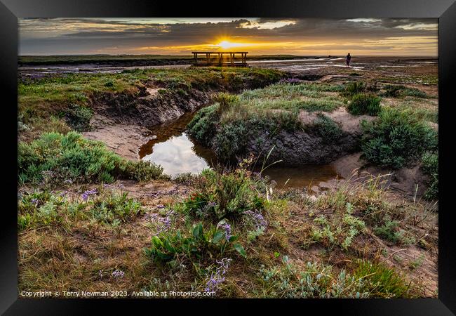 Sunset at Stiffkey Saltmarshes Framed Print by Terry Newman