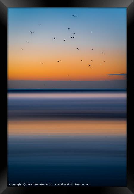 Dream Birds Framed Print by Colin Menniss