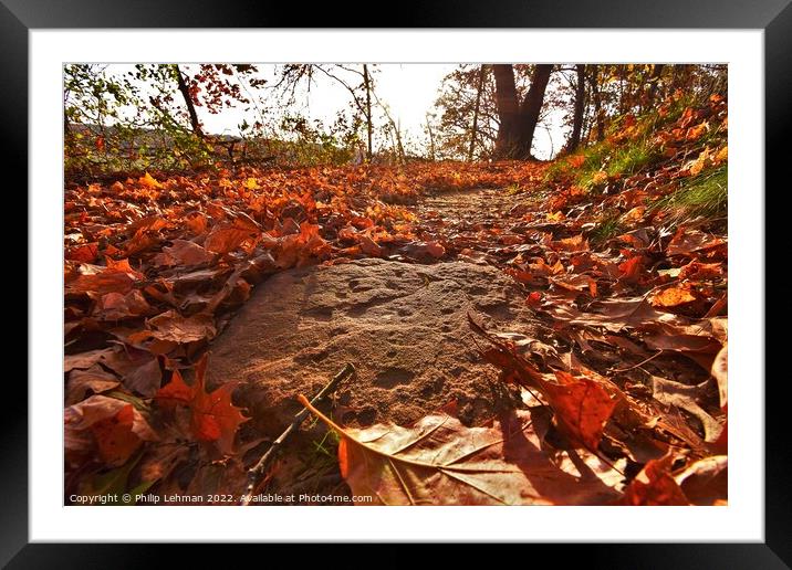 Autumn Trails Framed Mounted Print by Philip Lehman