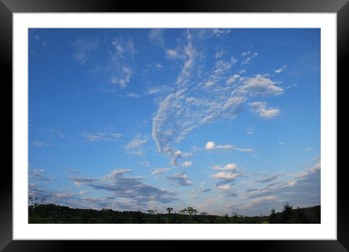 Clouds on a sunny day 3 Framed Mounted Print by Philip Lehman