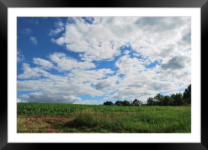 Clouds on a sunny day 1 Framed Mounted Print by Philip Lehman