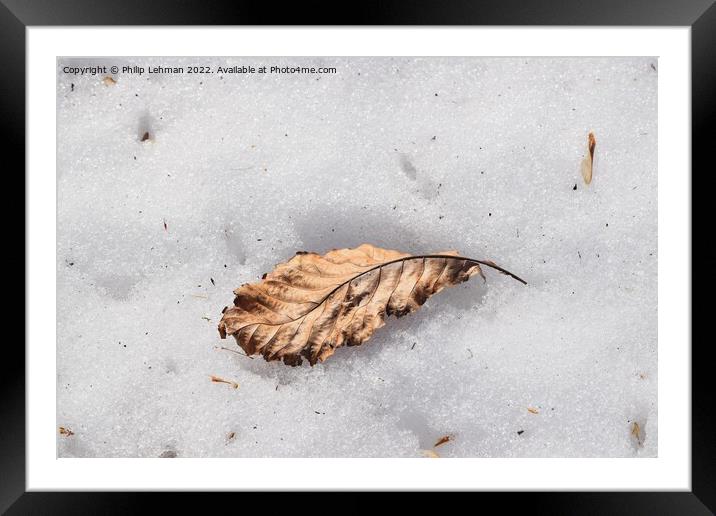 The Lone Leaf (2) Framed Mounted Print by Philip Lehman