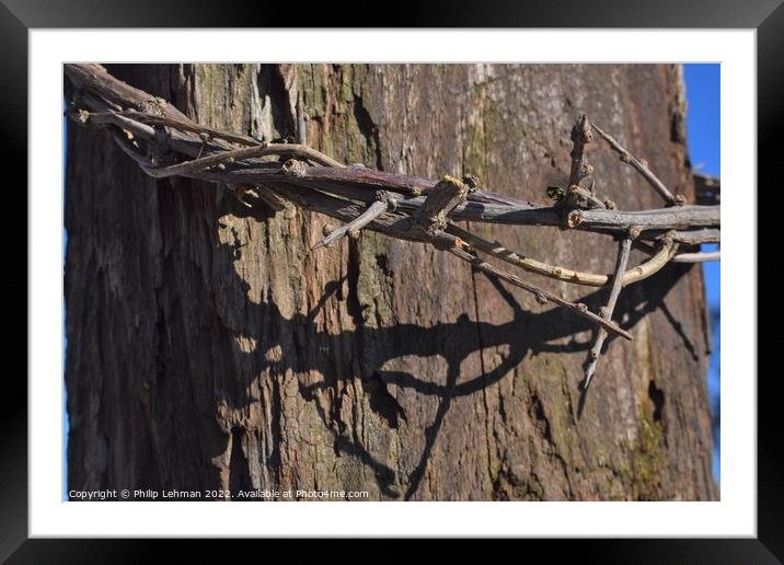 Crown of thorns on Cross close up (12B) Framed Mounted Print by Philip Lehman