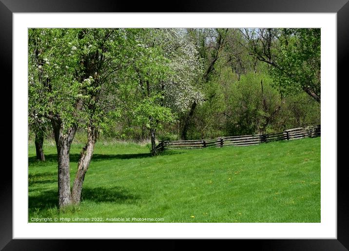 Old Fence line Landscape 3A Framed Mounted Print by Philip Lehman