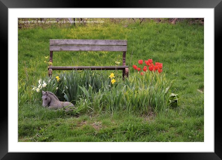Tulip Garden (15A) Framed Mounted Print by Philip Lehman