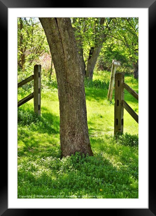 Gated Tree (B) Framed Mounted Print by Philip Lehman