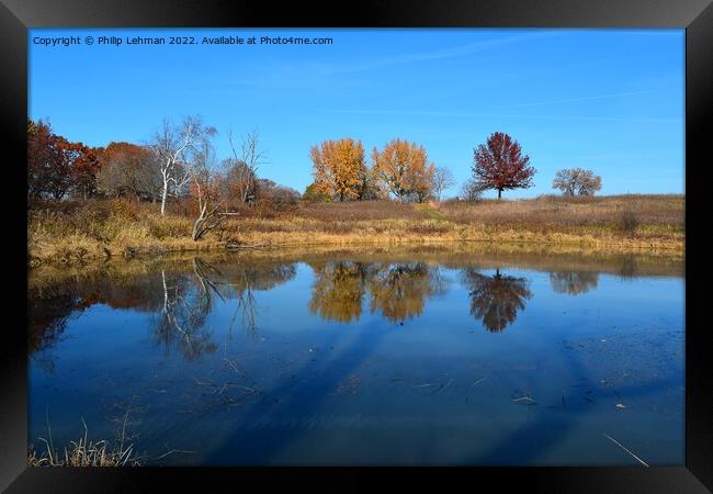 Fall Reflections 3 Framed Print by Philip Lehman