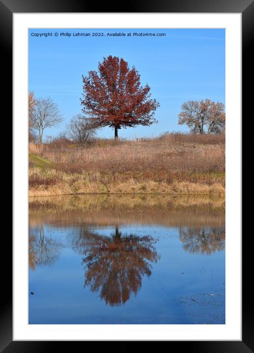 Fall Reflections 1 Framed Mounted Print by Philip Lehman