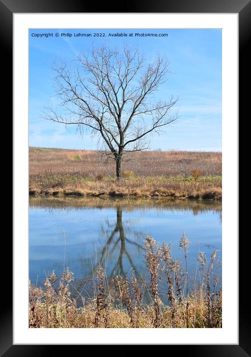 Fall Reflections 6 Framed Mounted Print by Philip Lehman
