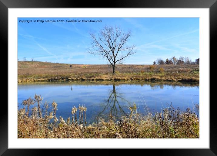 Fall Reflections 7 Framed Mounted Print by Philip Lehman