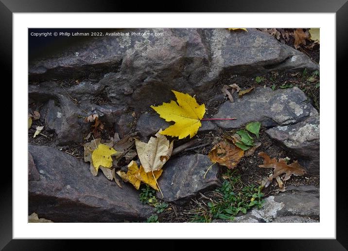 Devil's Lake October 18th (103A) Framed Mounted Print by Philip Lehman