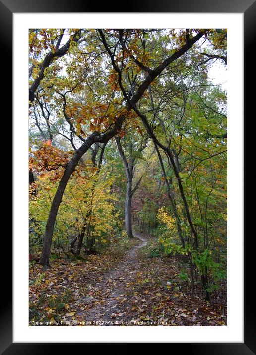 Fall Colors Donald Park Oct 17th (69A) Framed Mounted Print by Philip Lehman