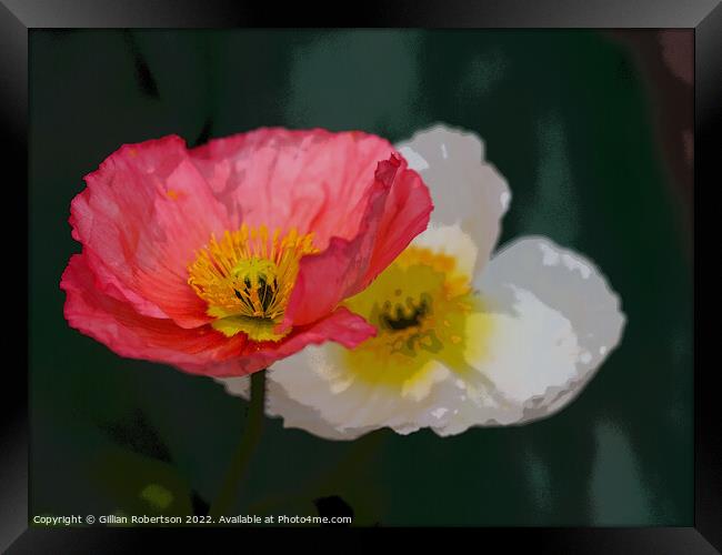Poppies Framed Print by Gillian Robertson