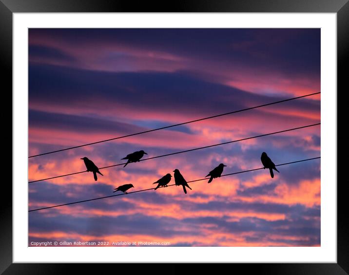 Birds on a wire - sunrise Framed Mounted Print by Gillian Robertson