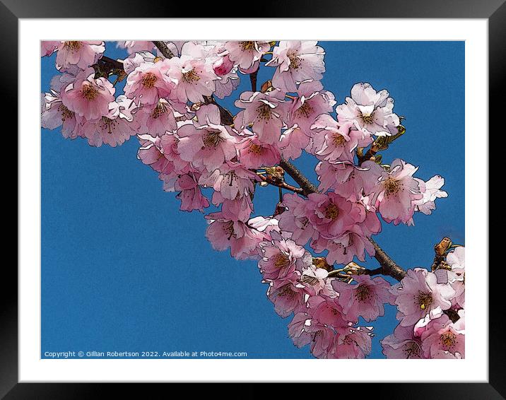 Cherry Blossom Digital Art Framed Mounted Print by Gillian Robertson