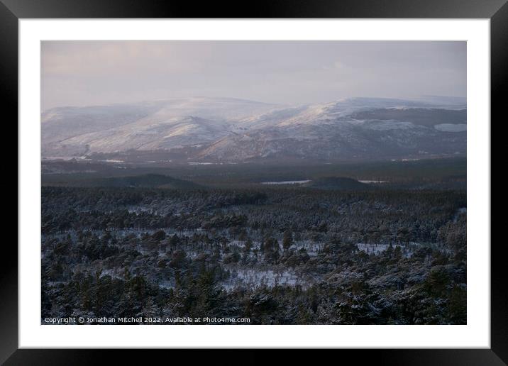 Glenmore Forest Park, Cairngorms, Scotland, 2019 Framed Mounted Print by Jonathan Mitchell