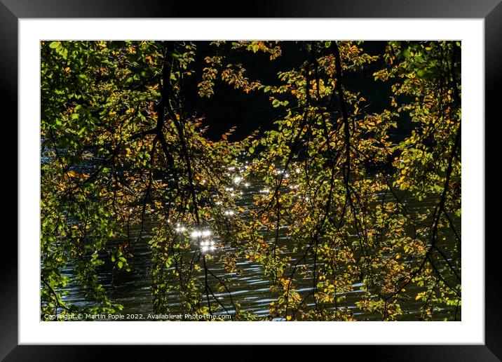 Water sparkling through leaves  Framed Mounted Print by Martin Pople
