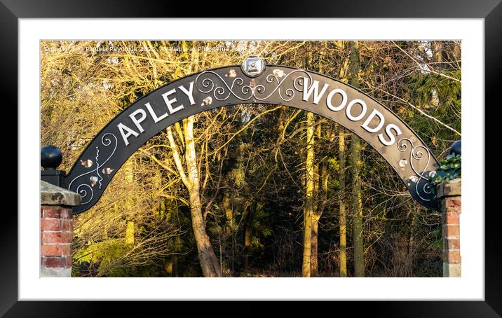 The Entrance into Apley Woods, Telford Framed Mounted Print by Pamela Reynolds