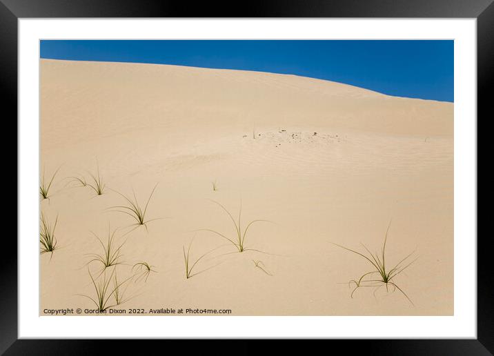 Blades of grass in a desert landscape Framed Mounted Print by Gordon Dixon
