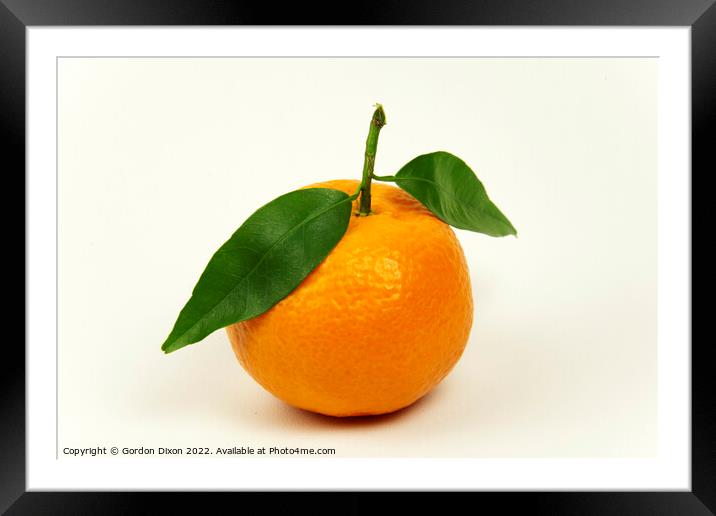 Orange tangerine or mandarin with leaves isolated on off white Framed Mounted Print by Gordon Dixon