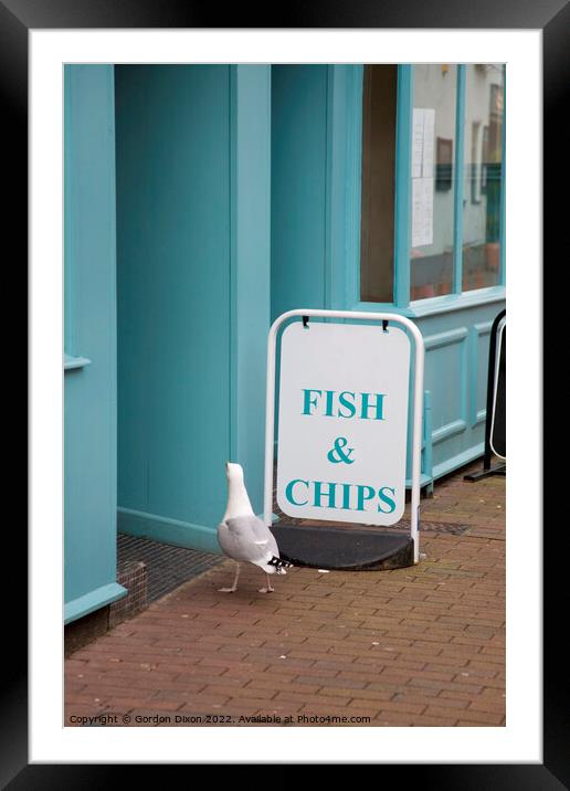 A seagull walking into a fish and chip shop in Sidmouth, Devon  Framed Mounted Print by Gordon Dixon