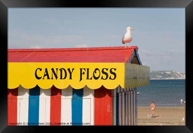 Seagull on food hut roof - Weymouth beach Framed Print by Gordon Dixon