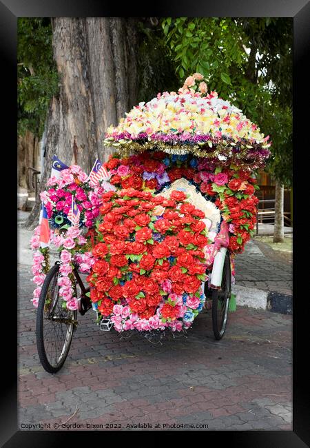 Eccentric floral decorations on pedal powered trishaw - Melaka. Malaysia Framed Print by Gordon Dixon