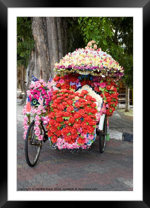 Eccentric floral decorations on pedal powered trishaw - Melaka. Malaysia Framed Mounted Print by Gordon Dixon