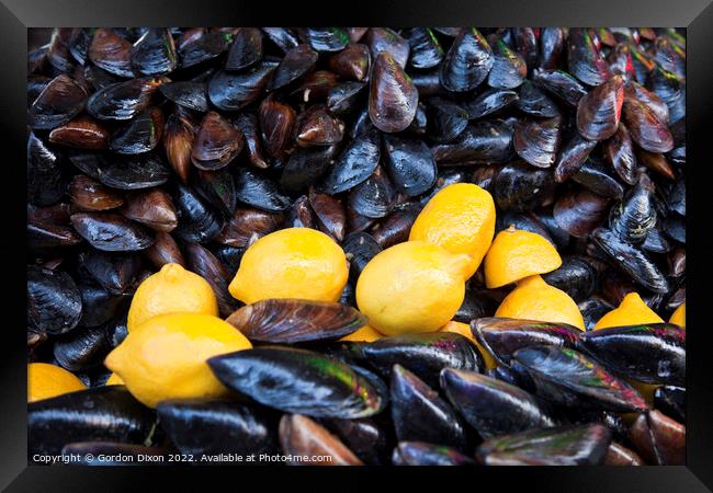 Fresh mussels and lemons for sale - Kocaeli, Turkey Framed Print by Gordon Dixon