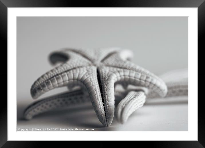 Abstract Starfish Framed Mounted Print by Sarah Hicks