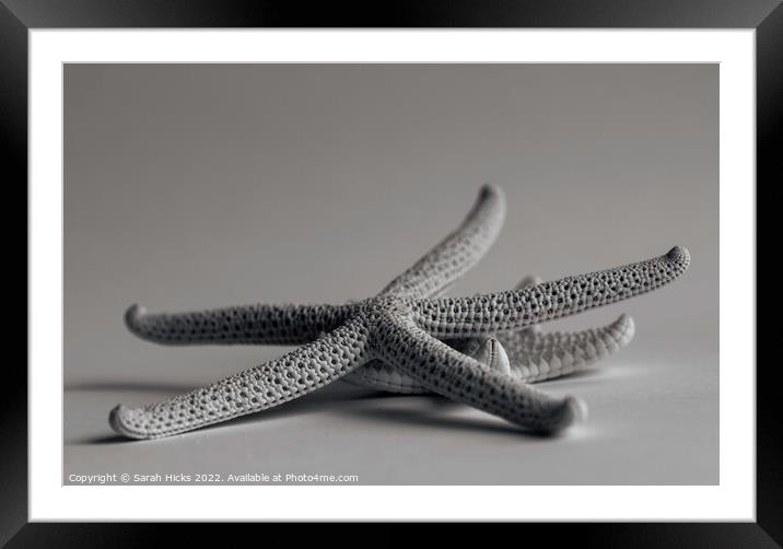 Two Starfish Framed Mounted Print by Sarah Hicks