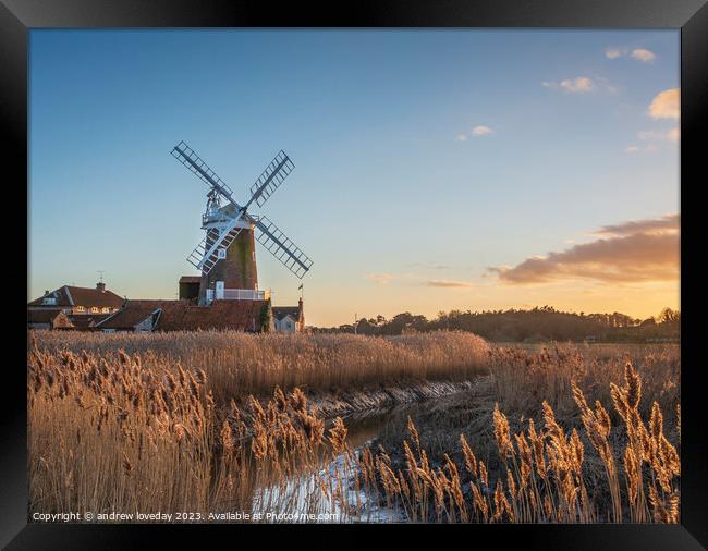 Cley golden reeds Framed Print by andrew loveday