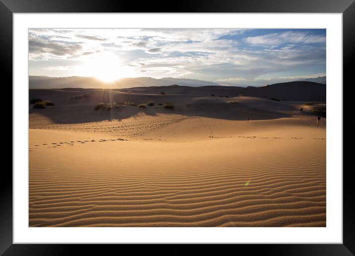 Sunset in the desert Framed Mounted Print by Eszter Imrene Virt