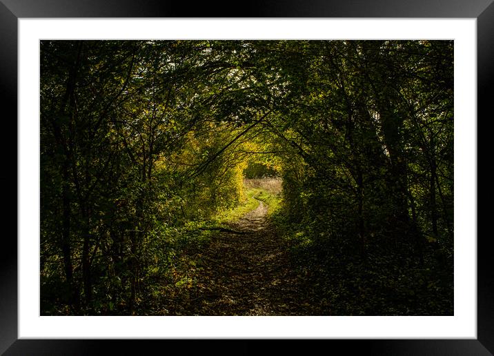 A natural tunnel in the forest in Oxfordshire, England Framed Mounted Print by Eszter Imrene Virt