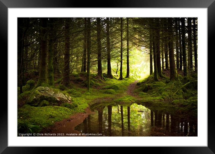 Coed Y Brenin Forest, Snowdonia Framed Mounted Print by Chris Richards